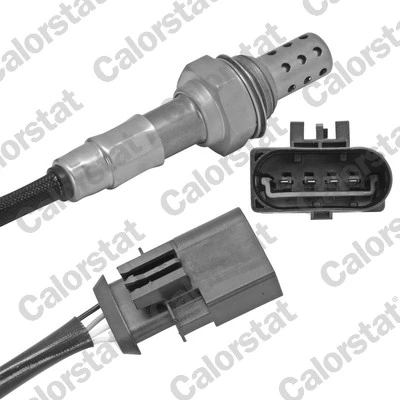 Oxygen Sensor
